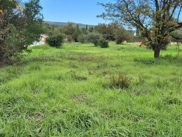 À Garéoult Terrain constructible de 3 000 m² 