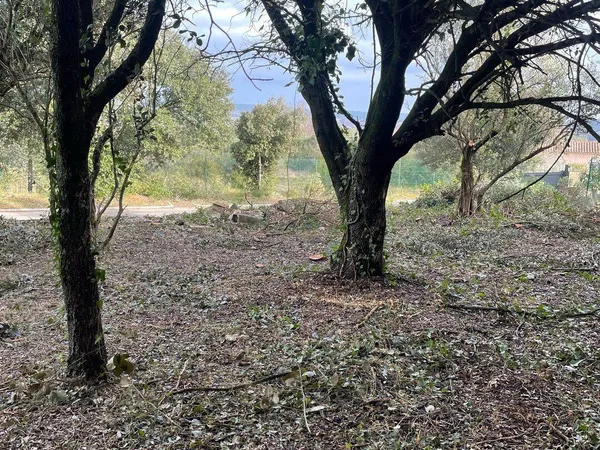 Terrain 400 m² 