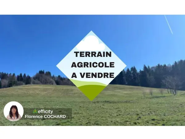 Terrain 50000 m² 