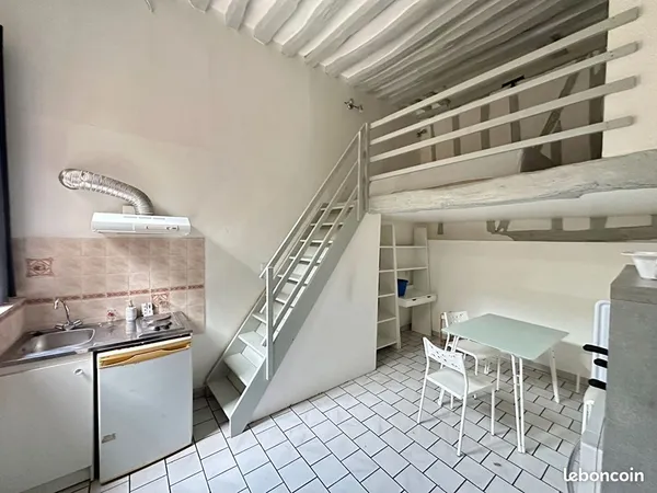 Duplex 1 pièce 24 m² 