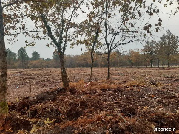 Terrain 750 m² Martillac 