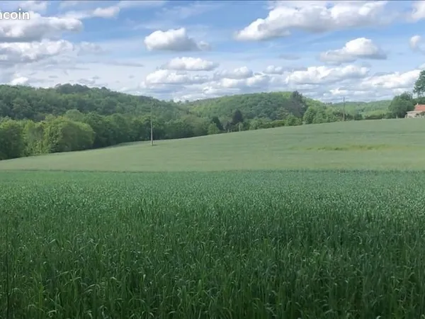 Terrain 1 500 m² Saint Jean De Cole