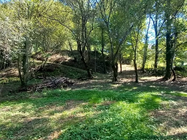 Maisonnette sur terrain arboré de 5000 m2 