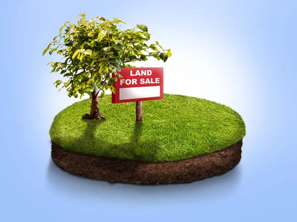 Beau terrain constructible 
