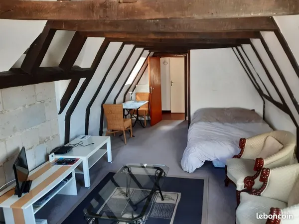 T1 bis dans immeuble historique 
