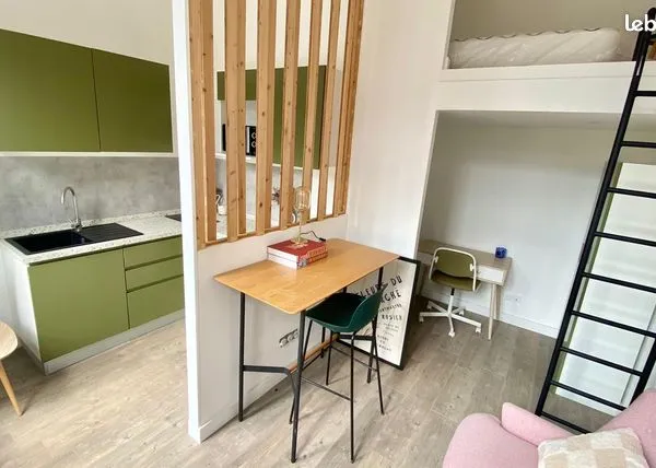 Appartement 1 pièce 19 m² 