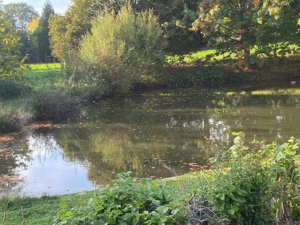 Maison 3 pièces 45 m² 
