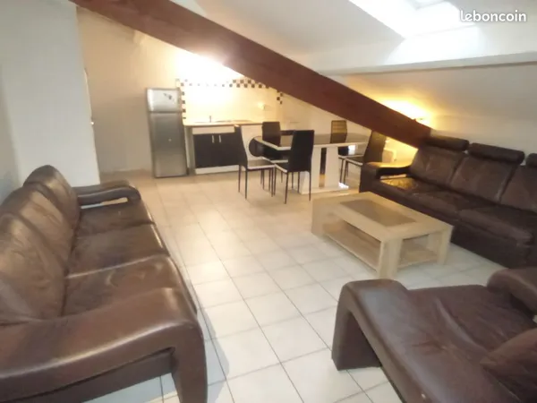 Grand 2 pièces 