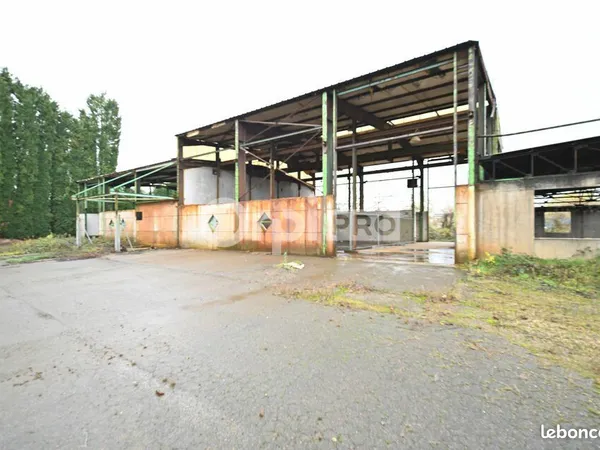 Local d'activité 782 m² 