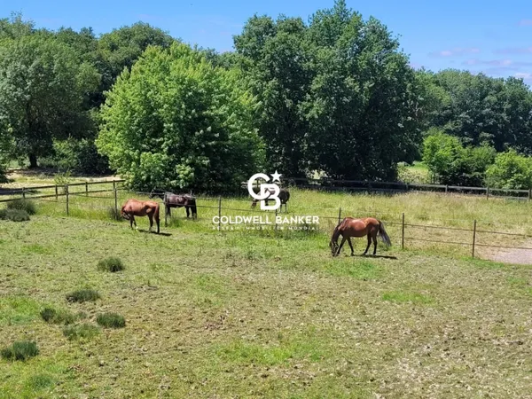 Vente - Domaine équestre Saintes - 1 728 000 € 