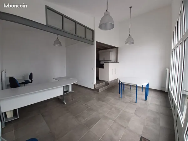 Appartement 1 pièce 45 m² 
