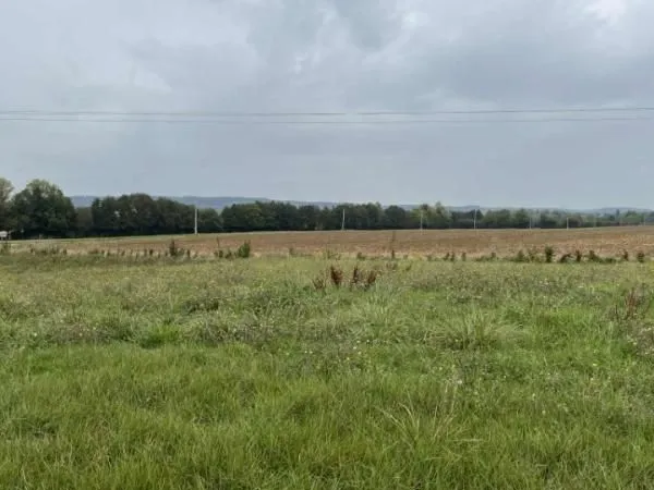 Terrain 431 m² Valframbert 