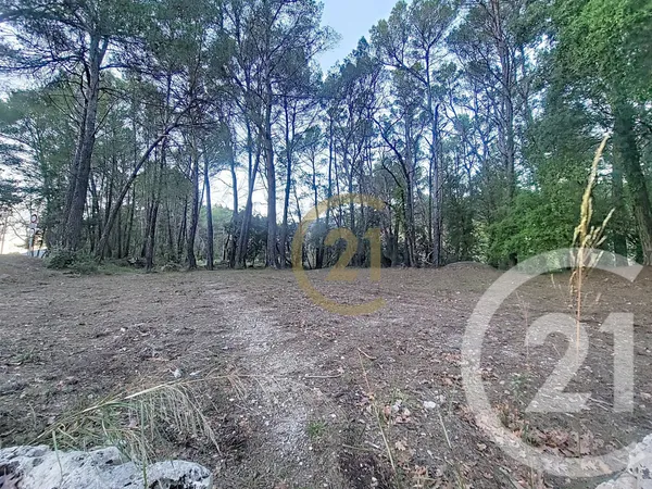 Terrain 7000 m² 