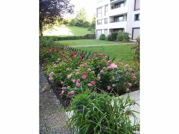 Loue appartement meublé refait à neuf - 17m² 