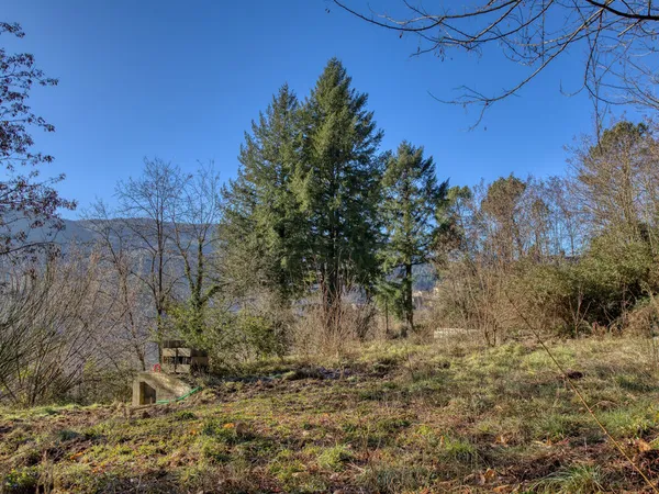 Terrain Constructible 5000m2 