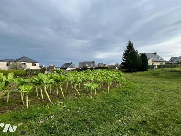 Terrain 1780 m² 
