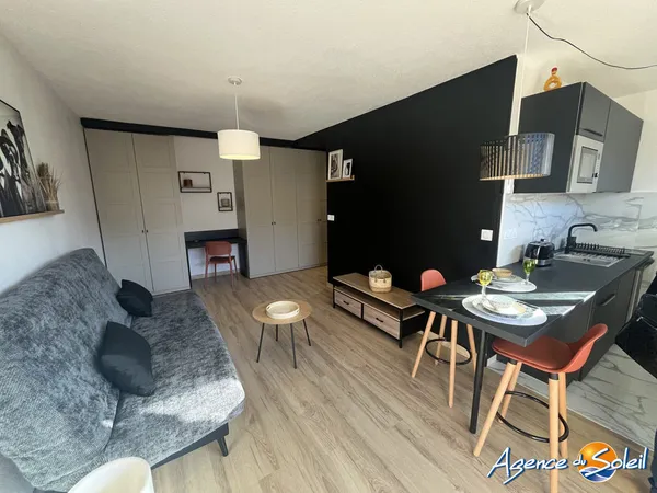 Magnifique studio entièrement rénové 