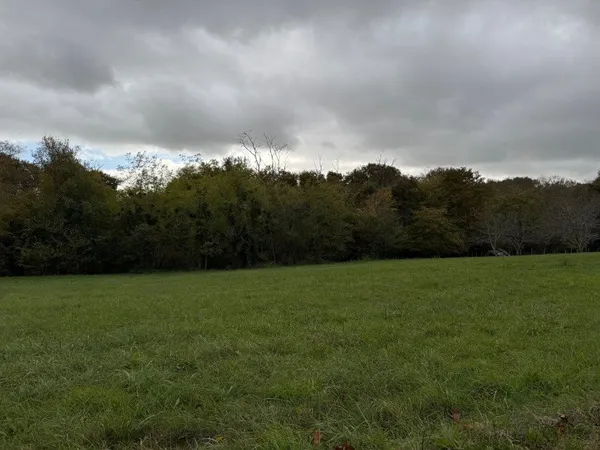 Terrain 1648 m² 
