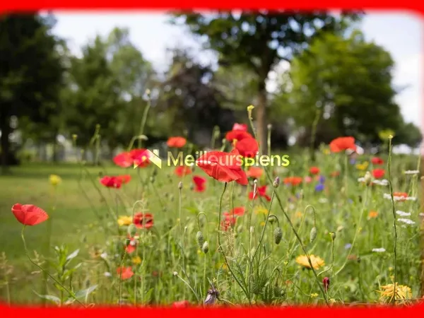 Terrain en individuel 493 m² 
