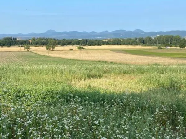 Terrain à bâtir de 734m² à Le Cheix 