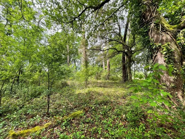 Propriété 127 m² 