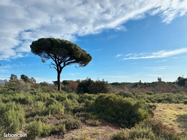 Terrain 628 m² Puget Sur Argens 