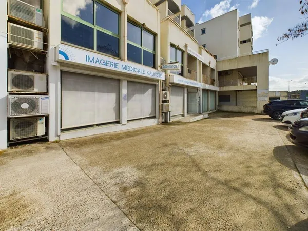 Local d'activité 254 m² 