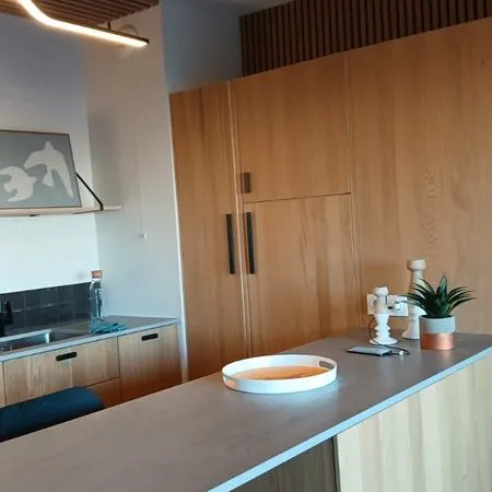 Location T2 meublé Port Marianne 
