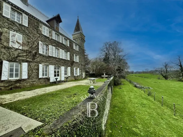 Rhône-Alpes - Château - Vue dégagée et piscine 