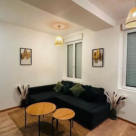 F2 meublé 30m2 - rdc - quartier CHU/Clinique St Hilaire 