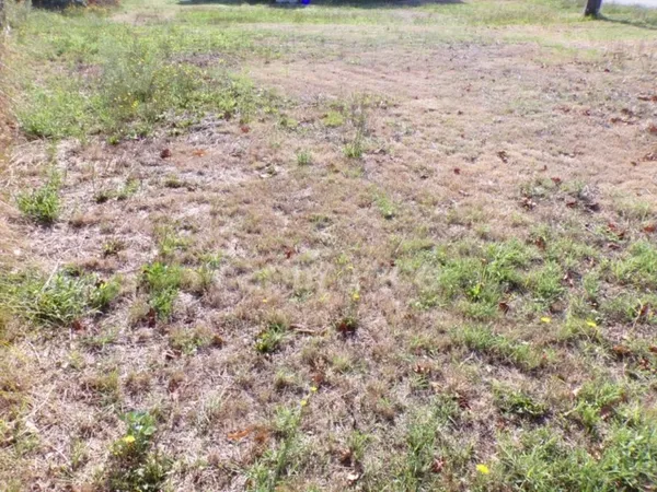 Terrain 730 m² 