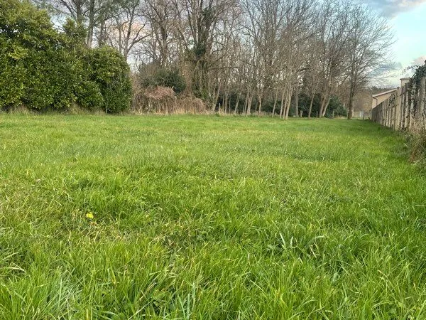 Terrain 1000m2 