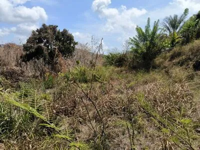 TERRAIN 817m2 SAINTE-LUCE 