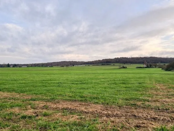 Terrain 1250 m² 