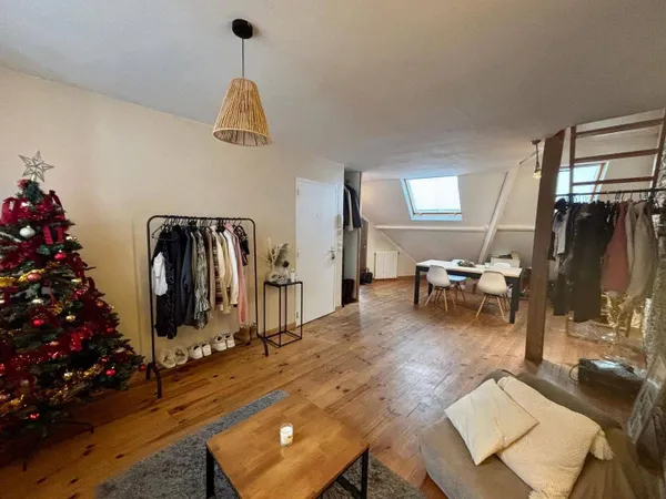 Duplex 1 pièce 37 m² 