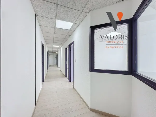 Bureau 13 pièces 245 m² 