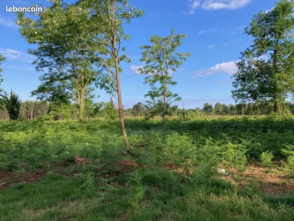 Terrain 950 m² Biscarrosse 