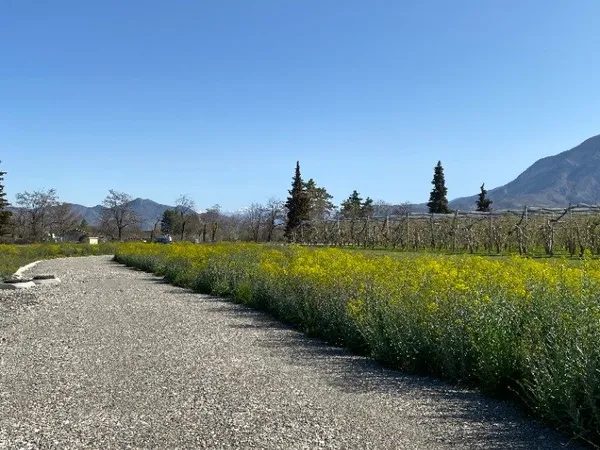 Terrain 786 m² 
