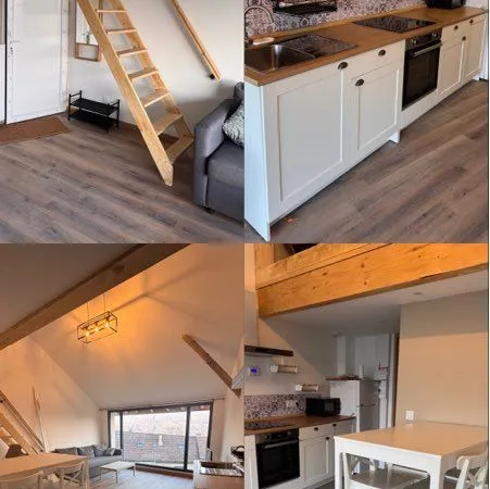 Appartement meublé dispo 21 janvier 