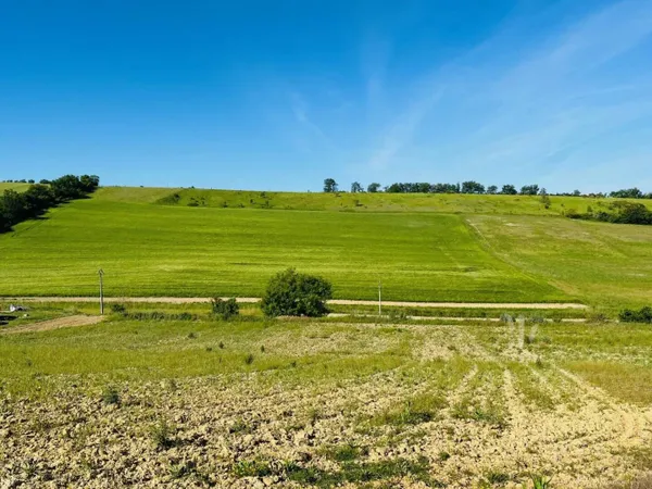 Propriété 