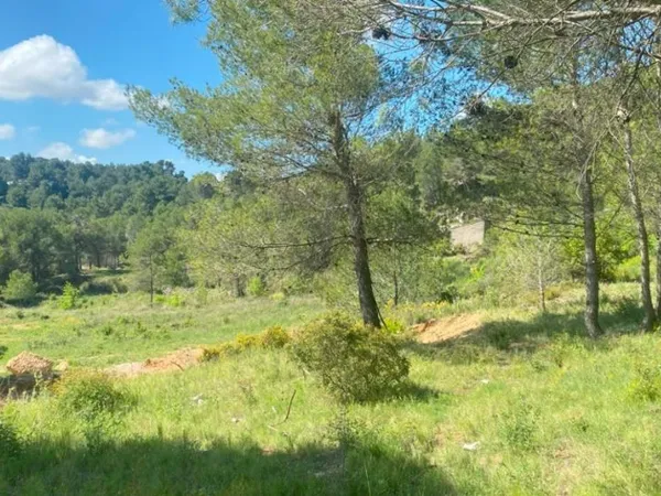 Terrain 1790 m² 