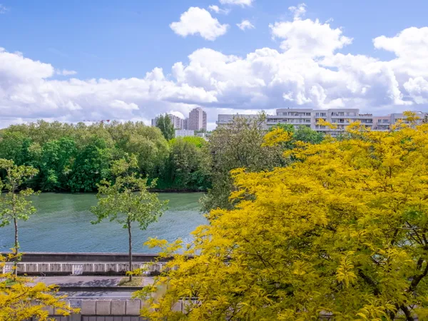 Vends bel appartement familial Boulogne Billancourt - 91m² 