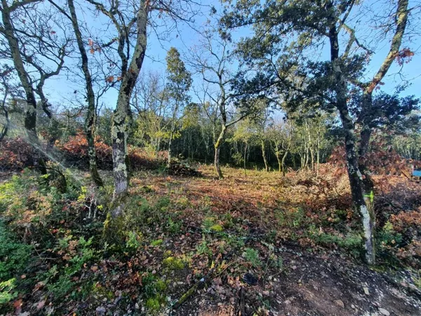 Terrain 1150 m² 