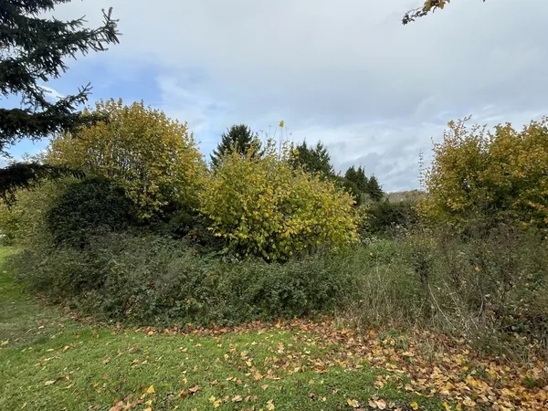 Terrain en individuel 2969 m² 