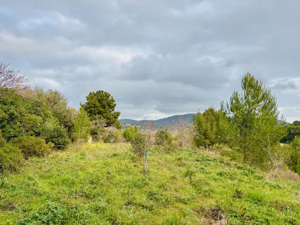 Terrain 895 m² 