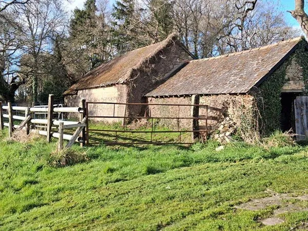 Propriété 1 pièce 85 m² 