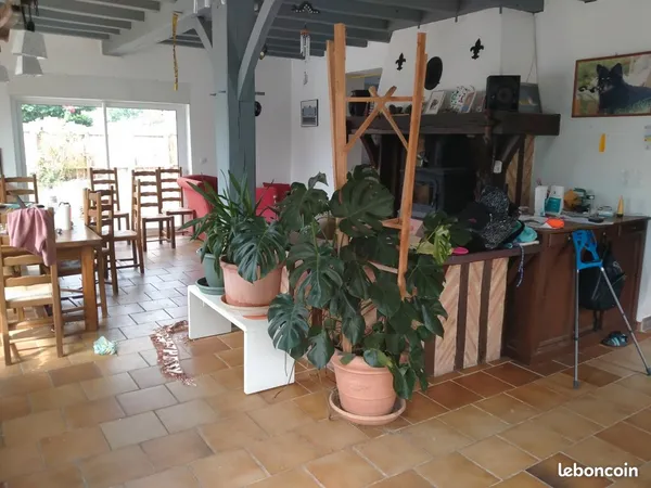 Colocation grande maison 