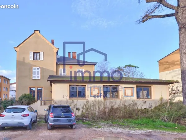 Maison 10 pièces 381 m² 