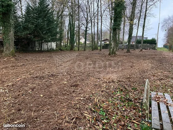 Terrain 1155 m² CHARNY OREE DE PUISAYE 