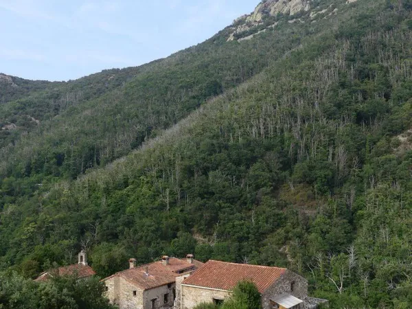 Maison 9 pièces 250 m² 